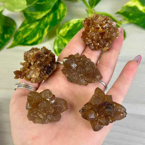 Sunflower Citrine Specimen 77 5 - Kenna's Crystals from TikTok