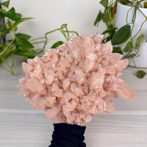 Swallowtail Calcite 1145 1 - Kenna's Crystals from TikTok