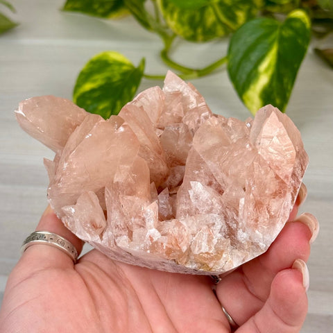 Swallowtail Calcite 200 9 - Kenna's Crystals from TikTok