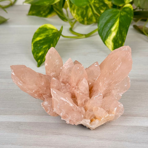 Swallowtail Calcite 230 8 - Kenna's Crystals from TikTok