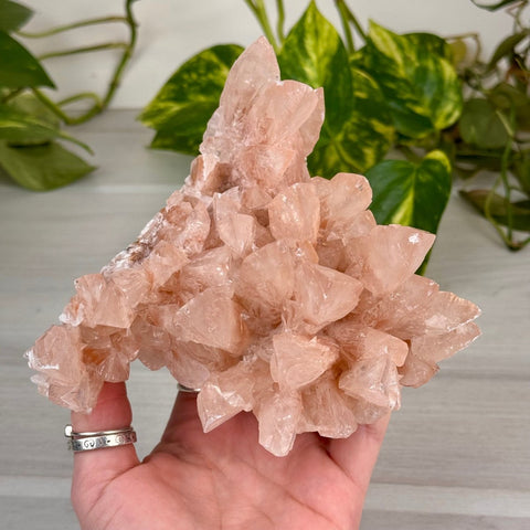 Swallowtail Calcite 320 7 - Kenna's Crystals from TikTok