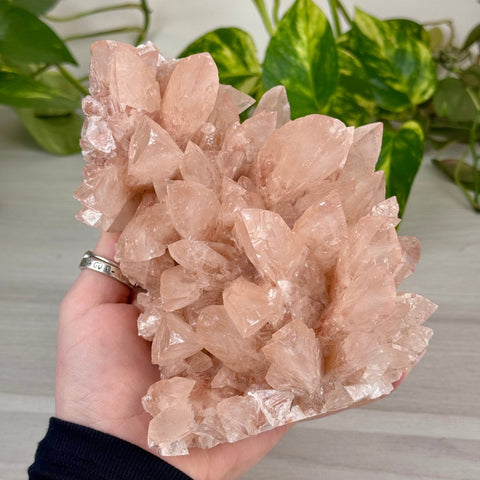 Swallowtail Calcite 565 4 - Kenna's Crystals from TikTok