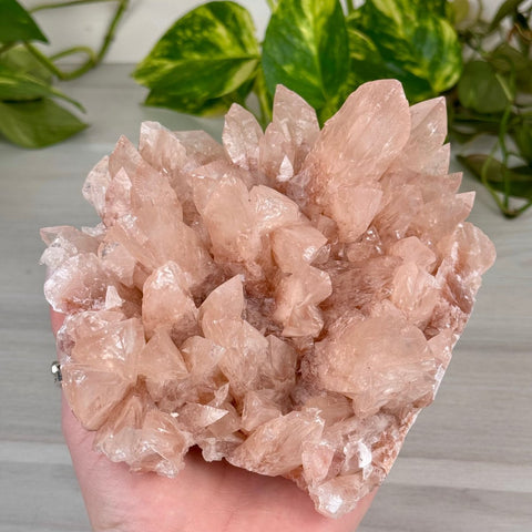 Swallowtail Calcite 600 3 - Kenna's Crystals from TikTok