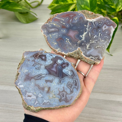Swazi Rose Agate Slice 111 5 - Kenna's Crystals from TikTok