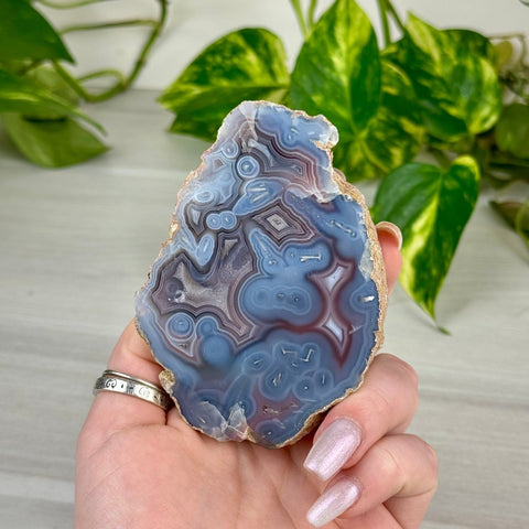 Swazi Rose Agate Slice 122 6 - Kenna's Crystals from TikTok