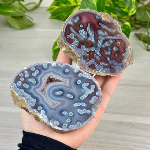 Swazi Rose Agate Slice 155 9 - Kenna's Crystals from TikTok