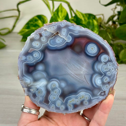 Swazi Rose Agate Slice 233 12 - Kenna's Crystals from TikTok