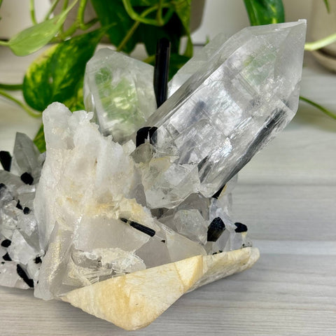 'Three Sisters' XL Quartz With Tourmaline Specimen 7 - Kenna's Crystals from TikTok