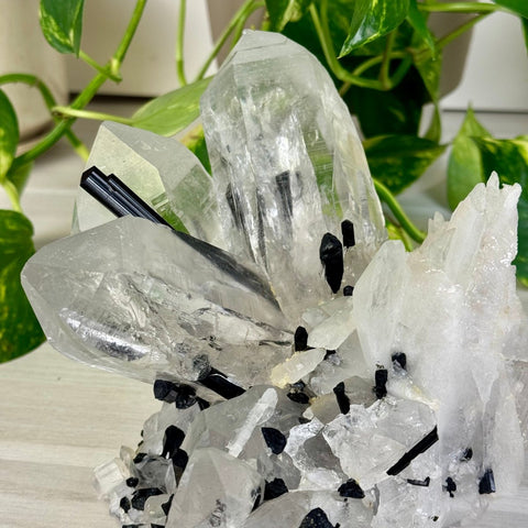 'Three Sisters' XL Quartz With Tourmaline Specimen 6 - Kenna's Crystals from TikTok