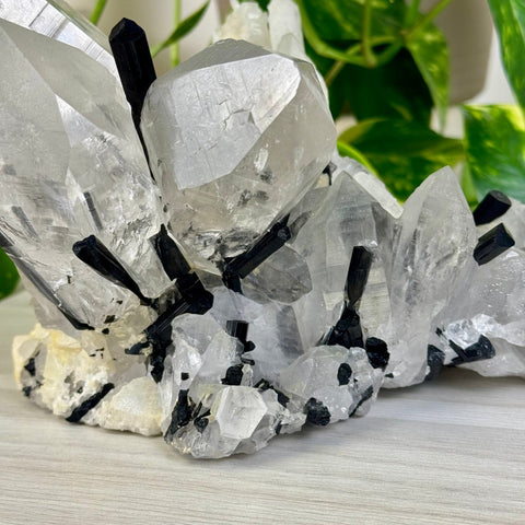 'Three Sisters' XL Quartz With Tourmaline Specimen 2 - Kenna's Crystals from TikTok