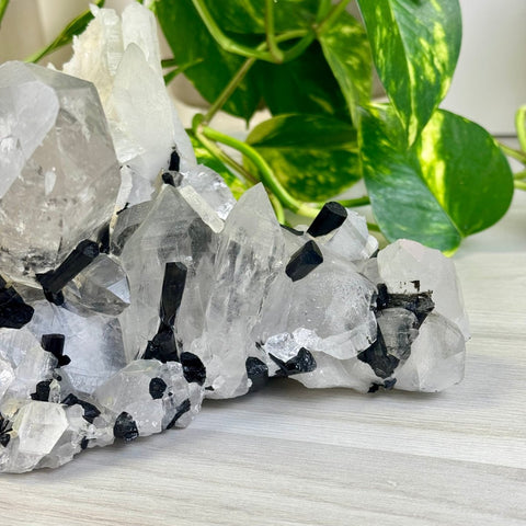 'Three Sisters' XL Quartz With Tourmaline Specimen 3 - Kenna's Crystals from TikTok