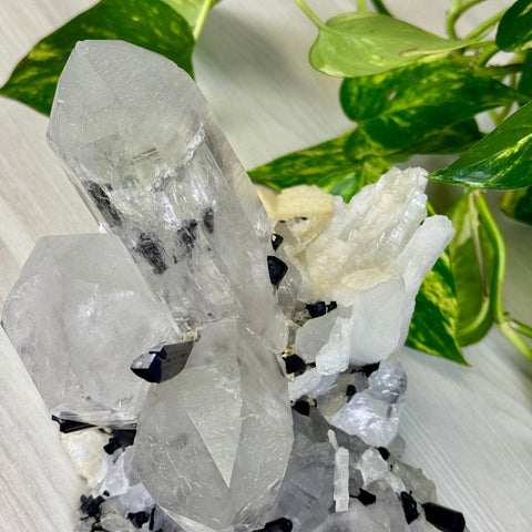 'Three Sisters' XL Quartz With Tourmaline Specimen 4 - Kenna's Crystals from TikTok