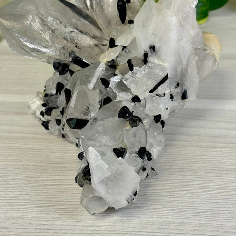 'Three Sisters' XL Quartz With Tourmaline Specimen 5 - Kenna's Crystals from TikTok