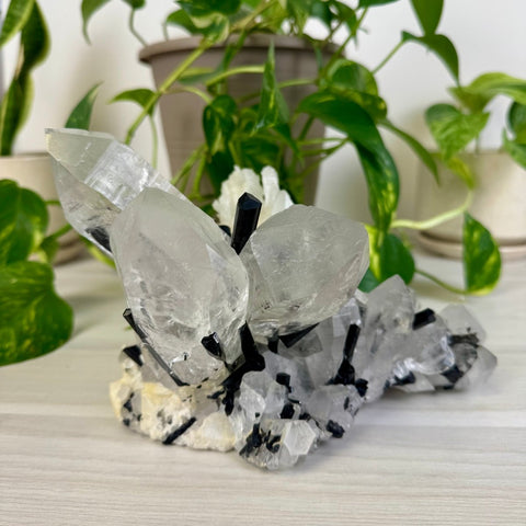 'Three Sisters' XL Quartz With Tourmaline Specimen 1 - Kenna's Crystals from TikTok