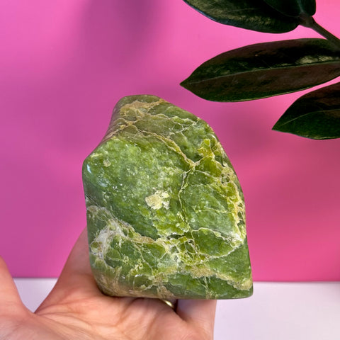 Green tremolite free form crystal with white veins, held in a hand against a pink background.