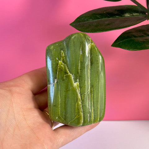 Hand holding a polished, vibrant green tremolite free form crystal with natural white striations.
