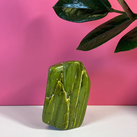 Smooth, polished green tremolite free form with white striations against a pink background and green plant.