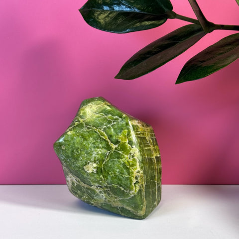 Green tremolite free form crystal with white veins on a white surface, pink background, and plant leaves.