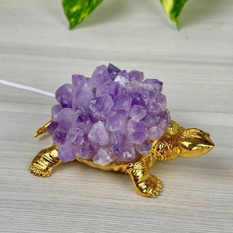 Turtle Lamp - Amethyst 1 - Kenna's Crystals from TikTok