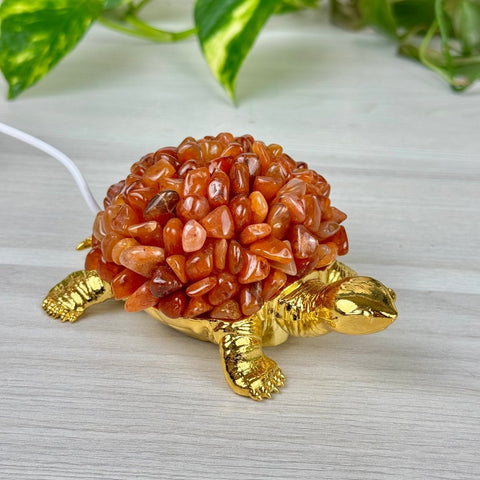 Turtle Lamp - Carnelian 1 - Kenna's Crystals from TikTok