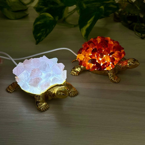 Turtle Lamp - Green Fluorite 2 - Kenna's Crystals from TikTok