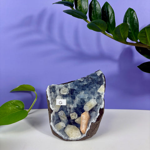 Under The Sea Chalcedony