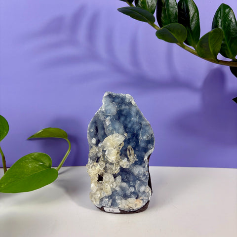 Under The Sea Chalcedony