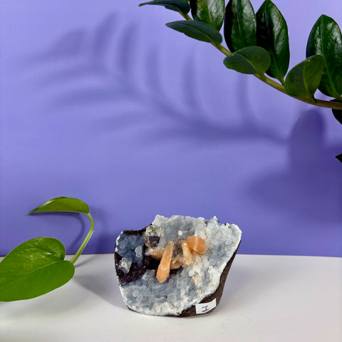Under The Sea Chalcedony