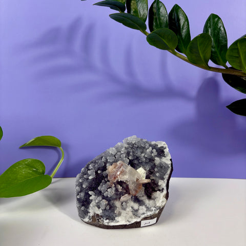 Under The Sea Chalcedony
