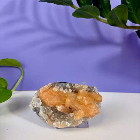 Under The Sea Chalcedony