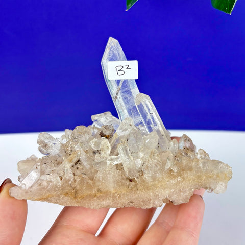 Clear Himalayan quartz cluster specimen with sharp, translucent points held in a hand against a blue background.