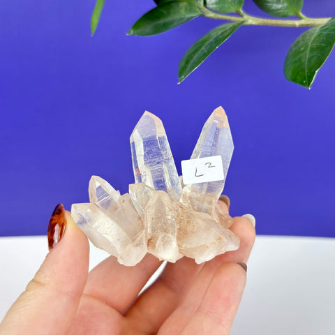Clear Himalayan quartz crystal cluster with sharp points held against a blue background.