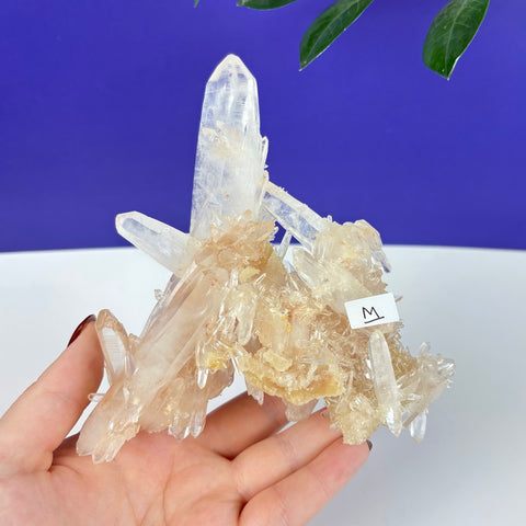 Handheld Underworld Himalayan quartz cluster with clear, sharp points and a textured, tan-colored mineral base.