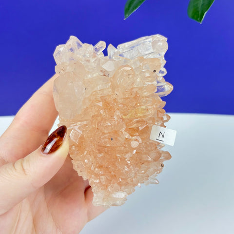 Handheld Underworld Himalayan quartz cluster featuring translucent, peach-toned crystals with sharp, pointed terminations.