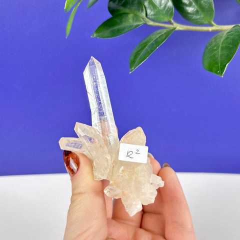 Hand holding a clear Himalayan quartz crystal cluster with sharp points against a blue and white background.