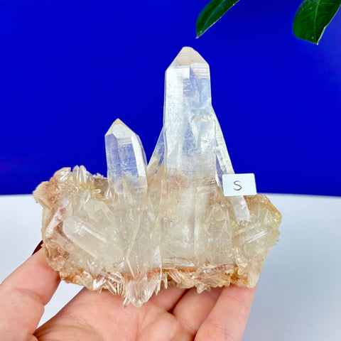 Clear Himalayan quartz crystal cluster with sharp points and a warm, iron-stained base held in a hand.