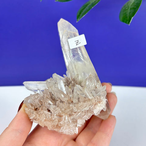 Clear Himalayan quartz crystal cluster with a large central point held in a hand against a blue background.