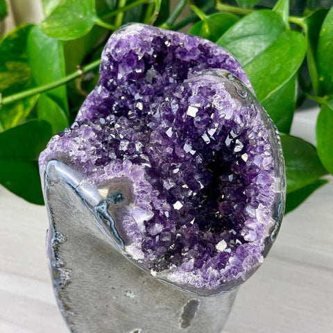 Uruguayan Amethyst Cut Base 644 6 - Kenna's Crystals from TikTok