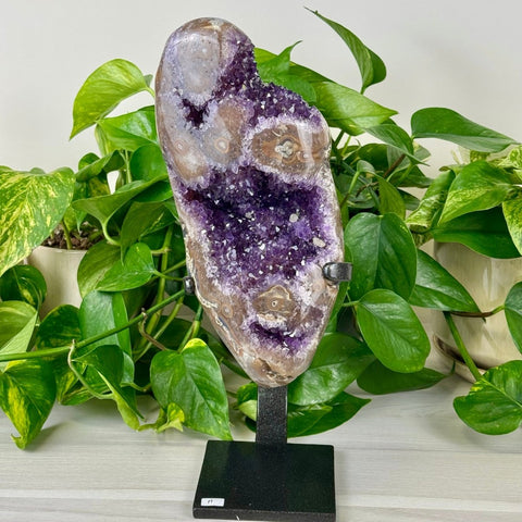 Uruguayan Amethyst with Custom Stand A 1 - Kenna's Crystals from TikTok