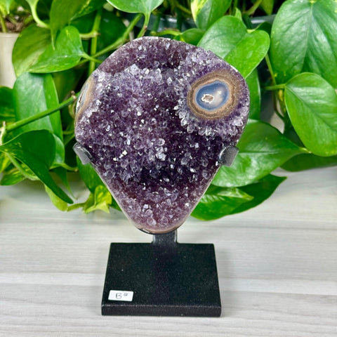 Uruguayan Amethyst with Custom Stand B2 28 - Kenna's Crystals from TikTok