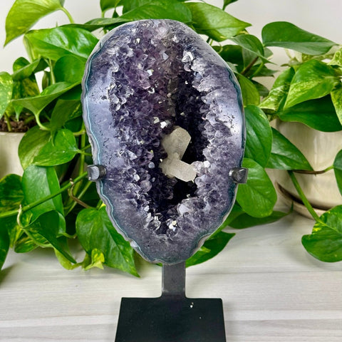 Uruguayan Amethyst with Custom Stand F 6 - Kenna's Crystals from TikTok