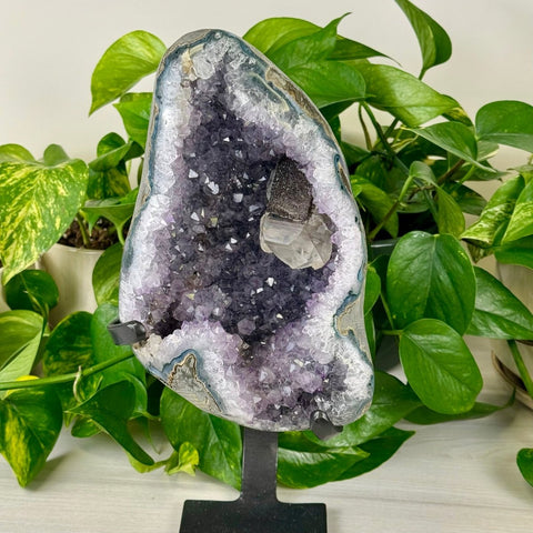 Uruguayan Amethyst with Custom Stand G 7 - Kenna's Crystals from TikTok