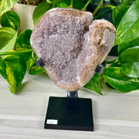 Uruguayan Amethyst with Custom Stand Q 17 - Kenna's Crystals from TikTok