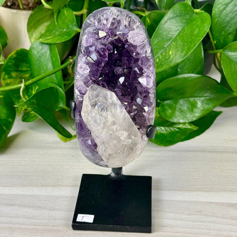 Uruguayan Amethyst with Custom Stand T 20 - Kenna's Crystals from TikTok