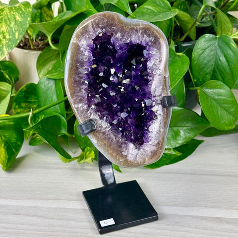 Uruguayan Amethyst with Custom Stand U 21 - Kenna's Crystals from TikTok
