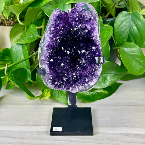 Uruguayan Amethyst with Custom Stand X 24 - Kenna's Crystals from TikTok