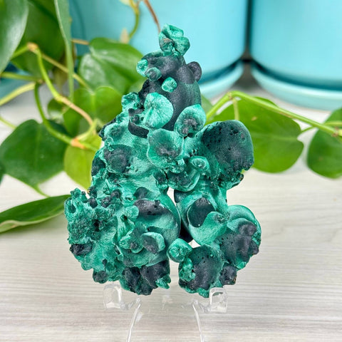Velvet Malachite 255 16 - Kenna's Crystals from TikTok