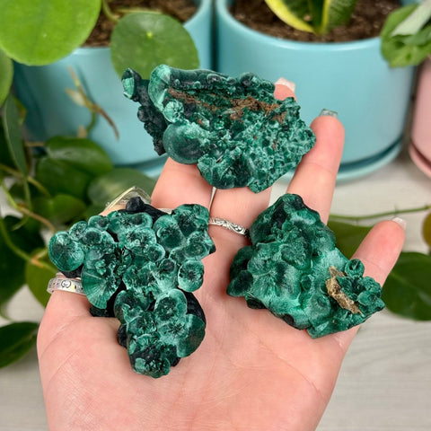 Velvet Malachite 99 8 - Kenna's Crystals from TikTok