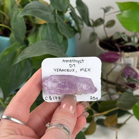 Veracruz Amethyst DT Point 177 8 - Kenna's Crystals from TikTok