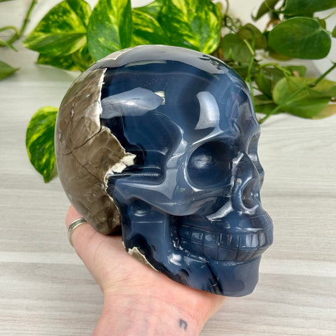 Volcano Agate Skull (UV Reactive) A 1 - Kenna's Crystals from TikTok